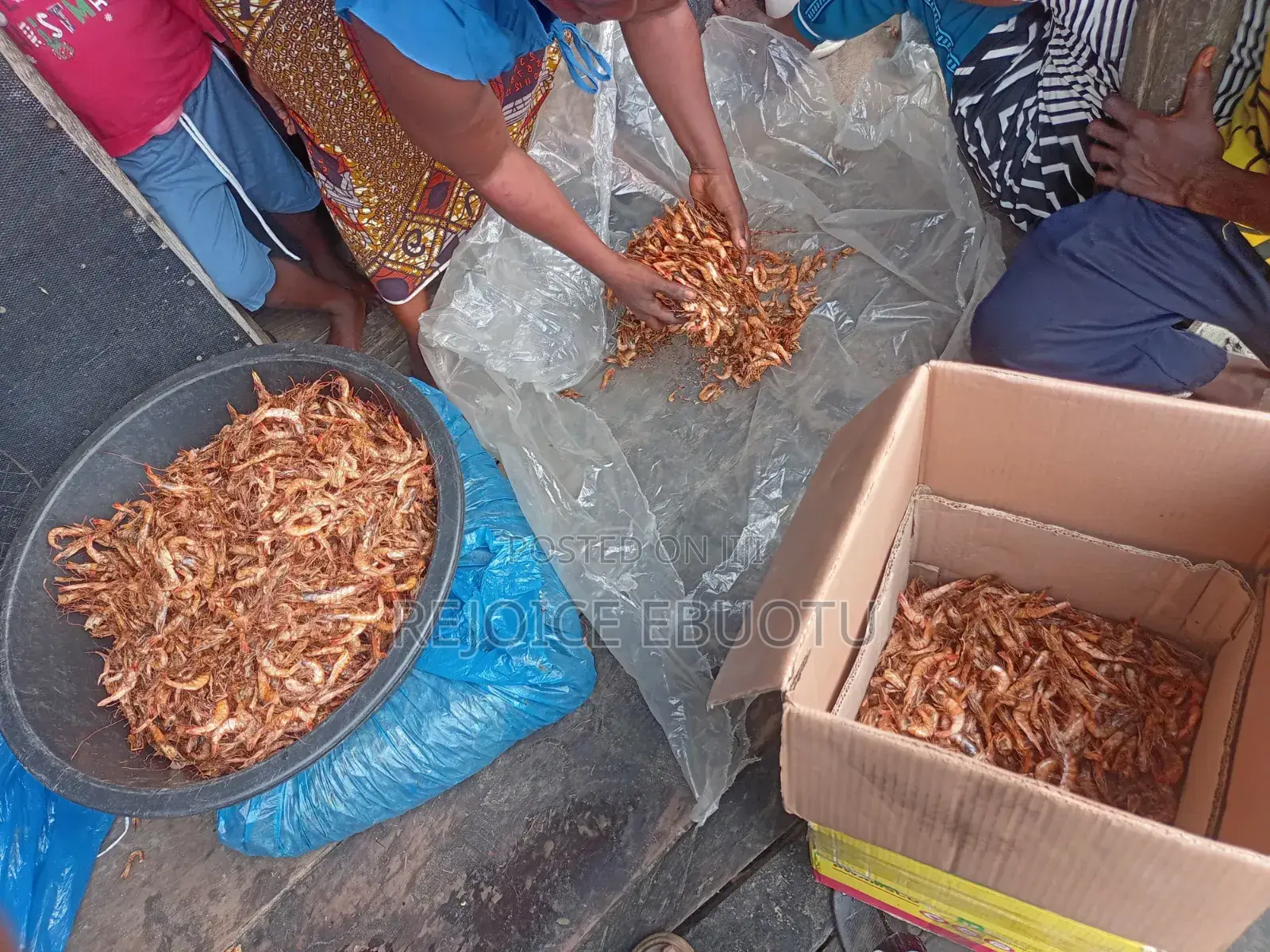 Dried Oporo/Prawns