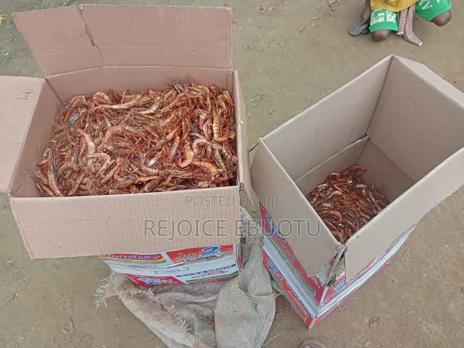 Dried Oporo/Prawns