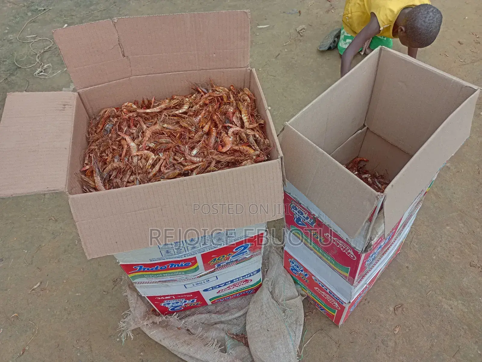 Dried Oporo/Prawns