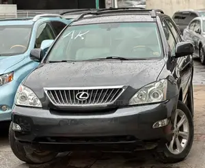 Lexus RX 2008 Gray