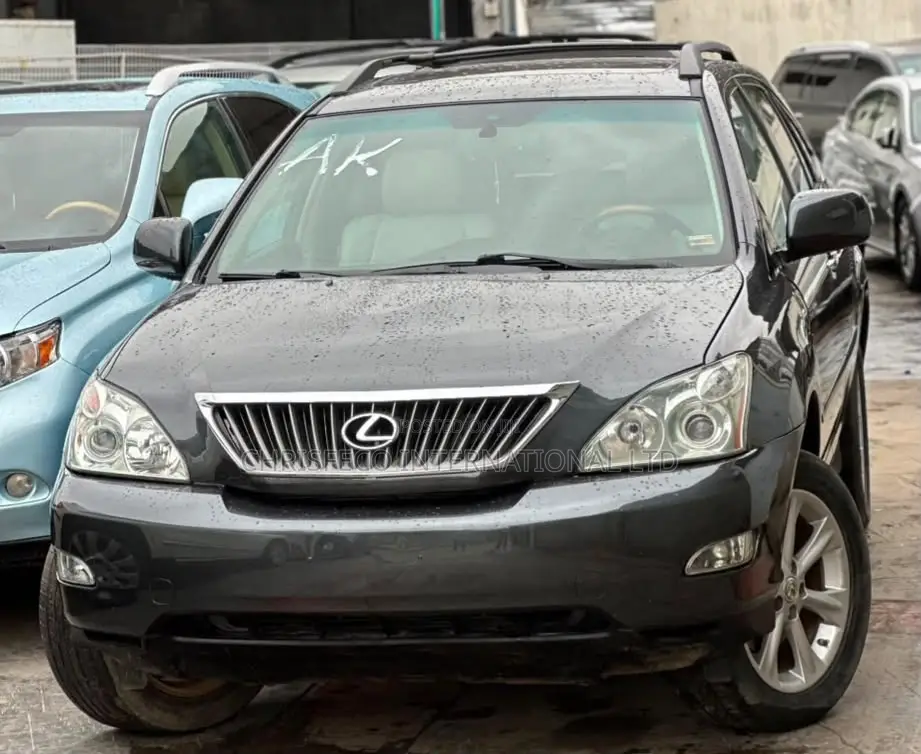 Lexus RX 2008 Gray