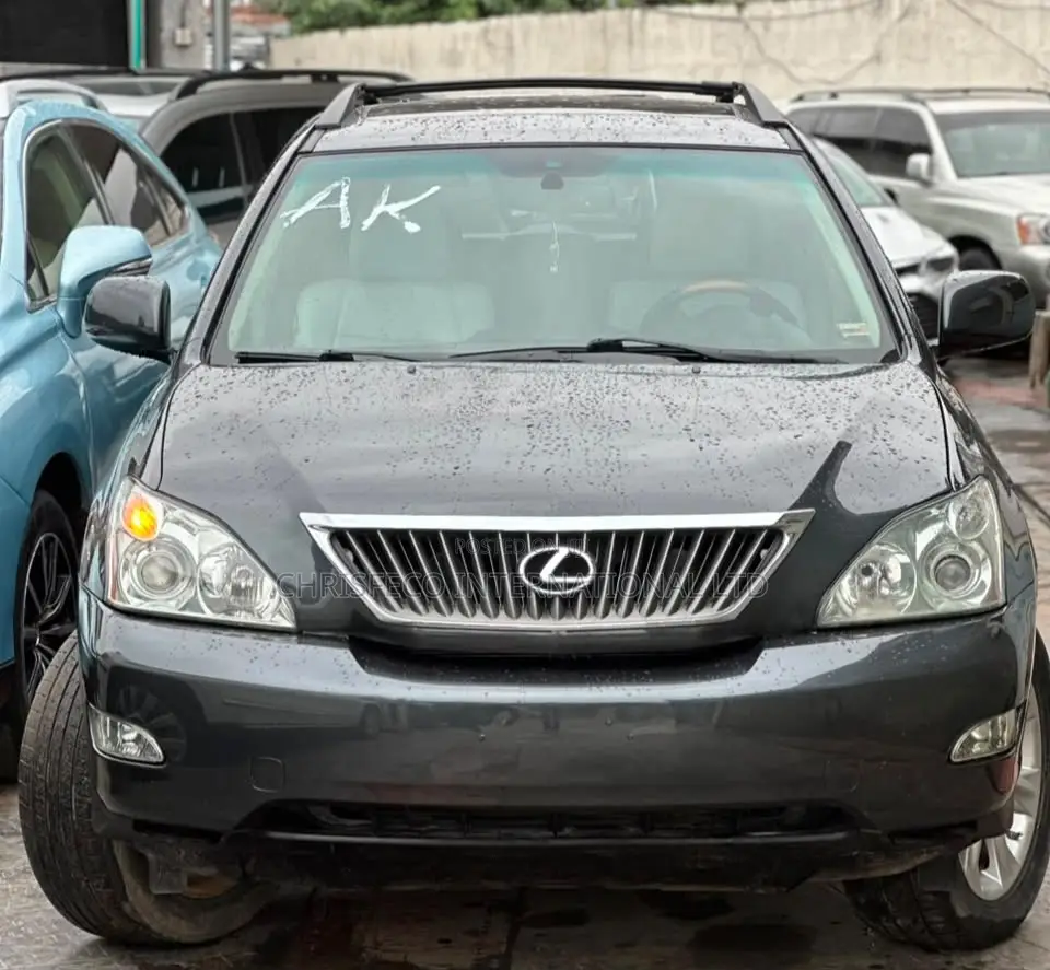 Lexus RX 2008 Gray