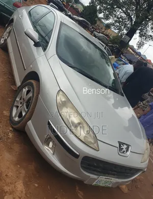 Peugeot 407 2010 Gray