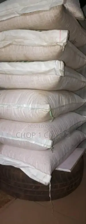 Popcorn Kernels ( Mushroom)