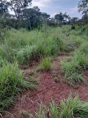 Plot of Land