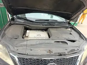 Lexus RX 2010 Brown
