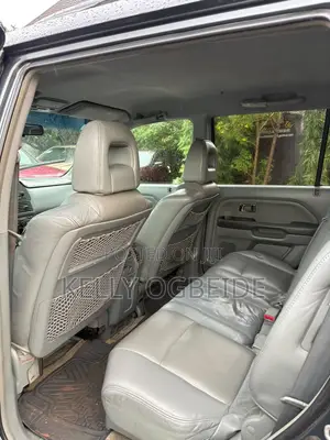 Honda Pilot 2005 Gray