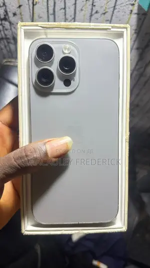 Apple iPhone 15 Pro Max 256 GB Gray