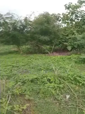 3 Plot of Land Available for Sale