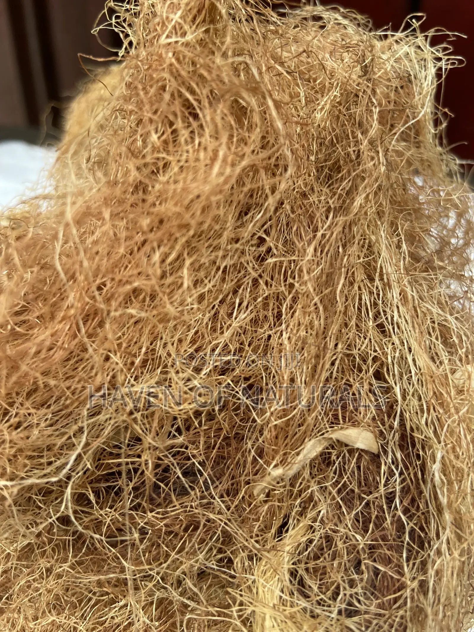 Corn Silk - 100g