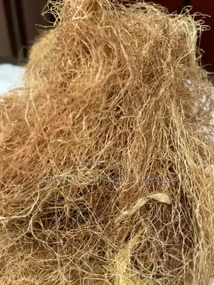 Corn Silk - 100g