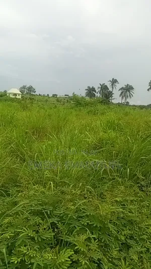 1 Plot of Land at Isuaniocha for Sale