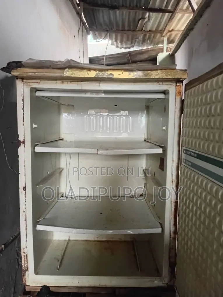 Standing Freezer