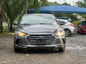 Hyundai Elantra Sport Sedan FWD (1.6L 4cyl 6M) 2017 Gray