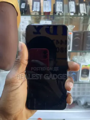 Apple iPhone 11 Pro Max 256 GB Gray