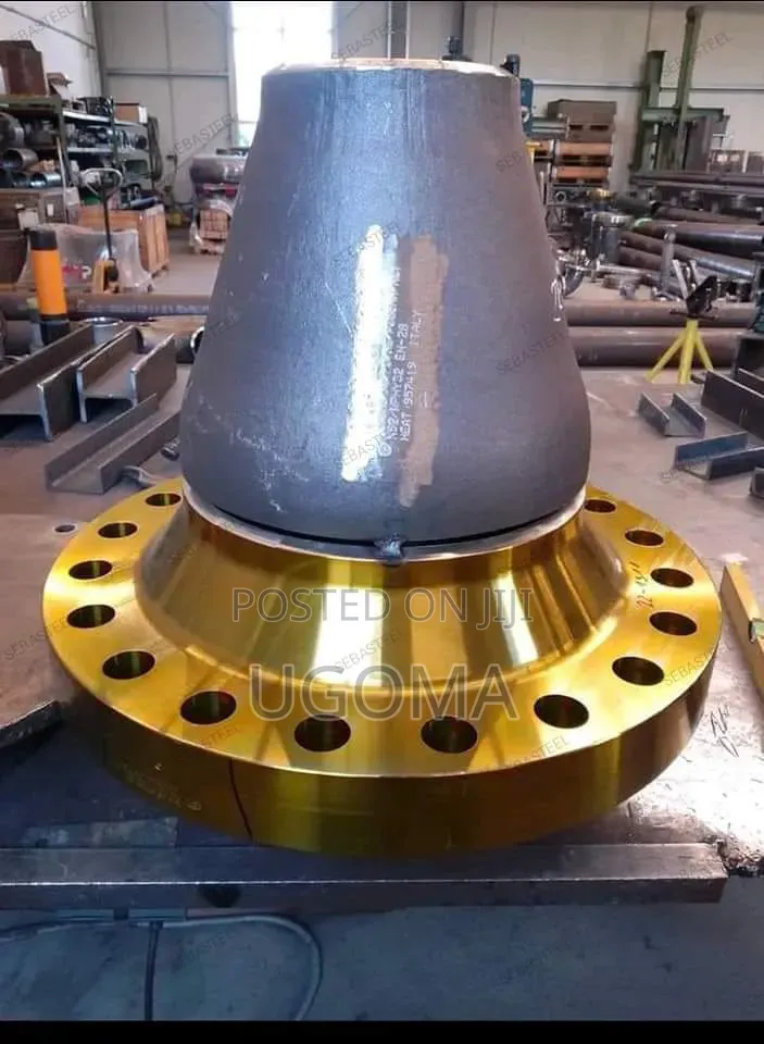 Flanges and Valves
