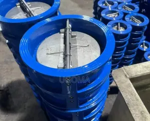 Flanges and Valves
