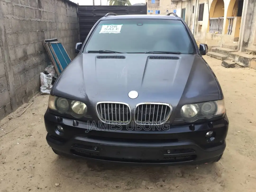 BMW X5 2003 Gray
