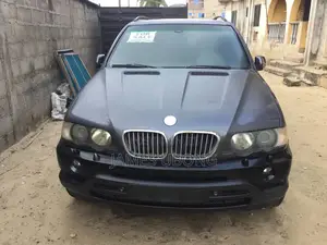 BMW X5 2003 Gray