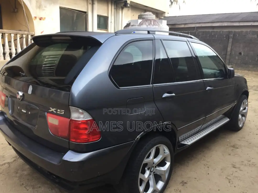 BMW X5 2003 Gray
