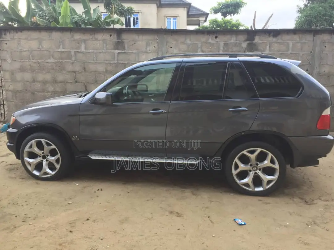 BMW X5 2003 Gray