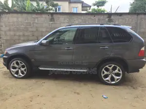 BMW X5 2003 Gray