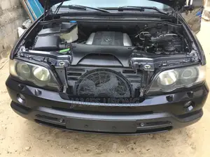 BMW X5 2003 Gray