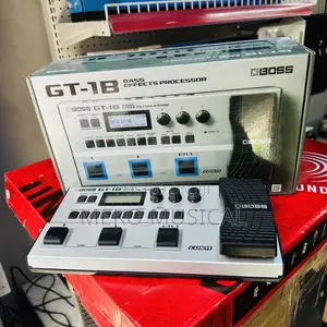 Bass Effects Processor