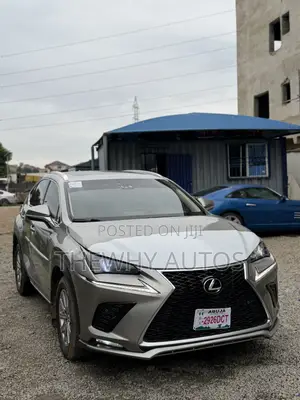 Lexus NX 300 FWD 2019 Gray