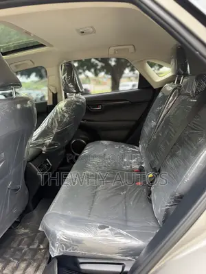 Lexus NX 300 FWD 2019 Gray