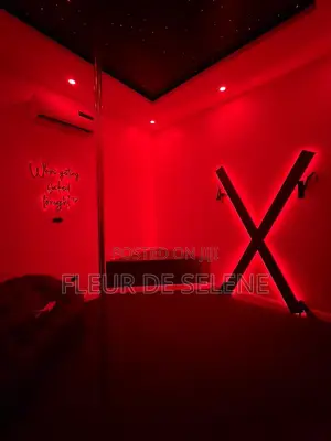 2bedroom Airbnb With Private Cinema and Adult Dungeon