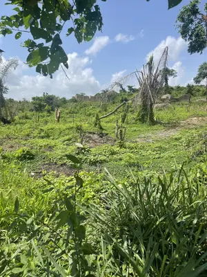 Acres of Land for Sale