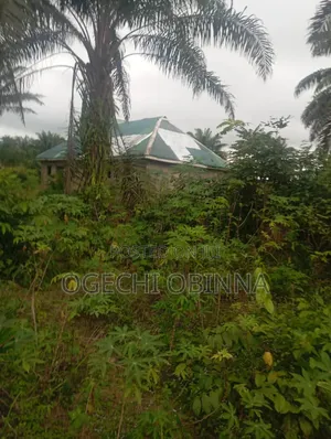 Distress Sale of 2 Plots of Land at Ulakwo Etche