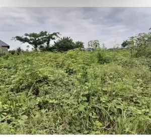 Two Plots Of Land