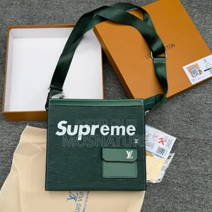 Louis Vuitton Side Bag