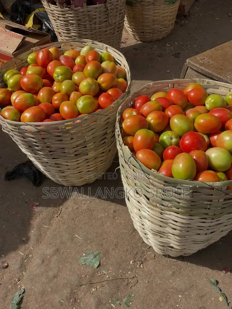 Fresh Jos Utc Tomatoes Available
