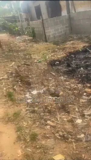Half Plot of Land