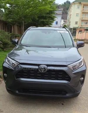 Toyota RAV4 XLE AWD 2019 Gray