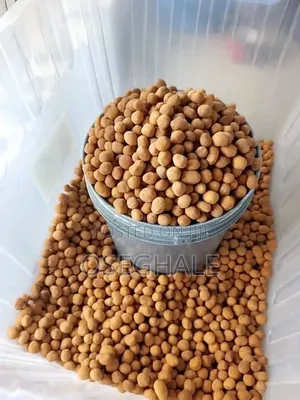 Crunchy Peanut Burger