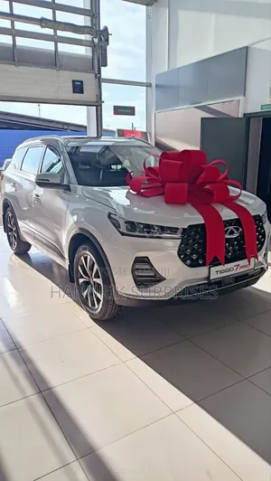 Car Bow Surprise