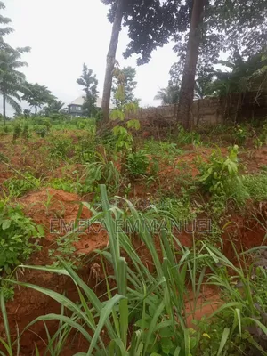 1 Plot of Land for Sale at Amawbia
