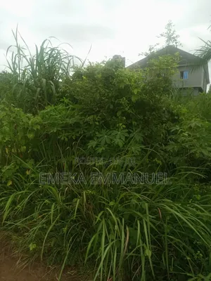 1 Plot of Land for Sale at Isuaniocha