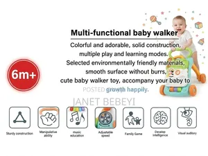 Activity Walker 6 In 1