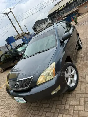 Lexus RX 2009 Gray