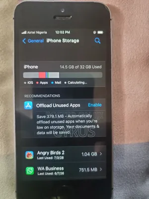 Apple iPhone SE 32 GB Gray