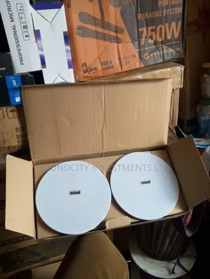 Boom 50w 2 in 1 Bluetooth Ceiling Speaker.