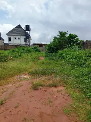 Half Plot of Land With a Nice Layout in a Close