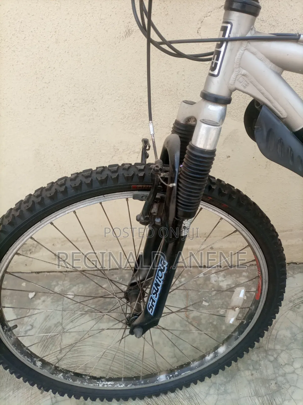 Adult Bicycles