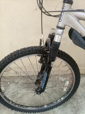 Adult Bicycles