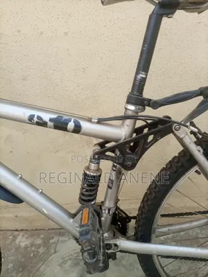 Adult Bicycles